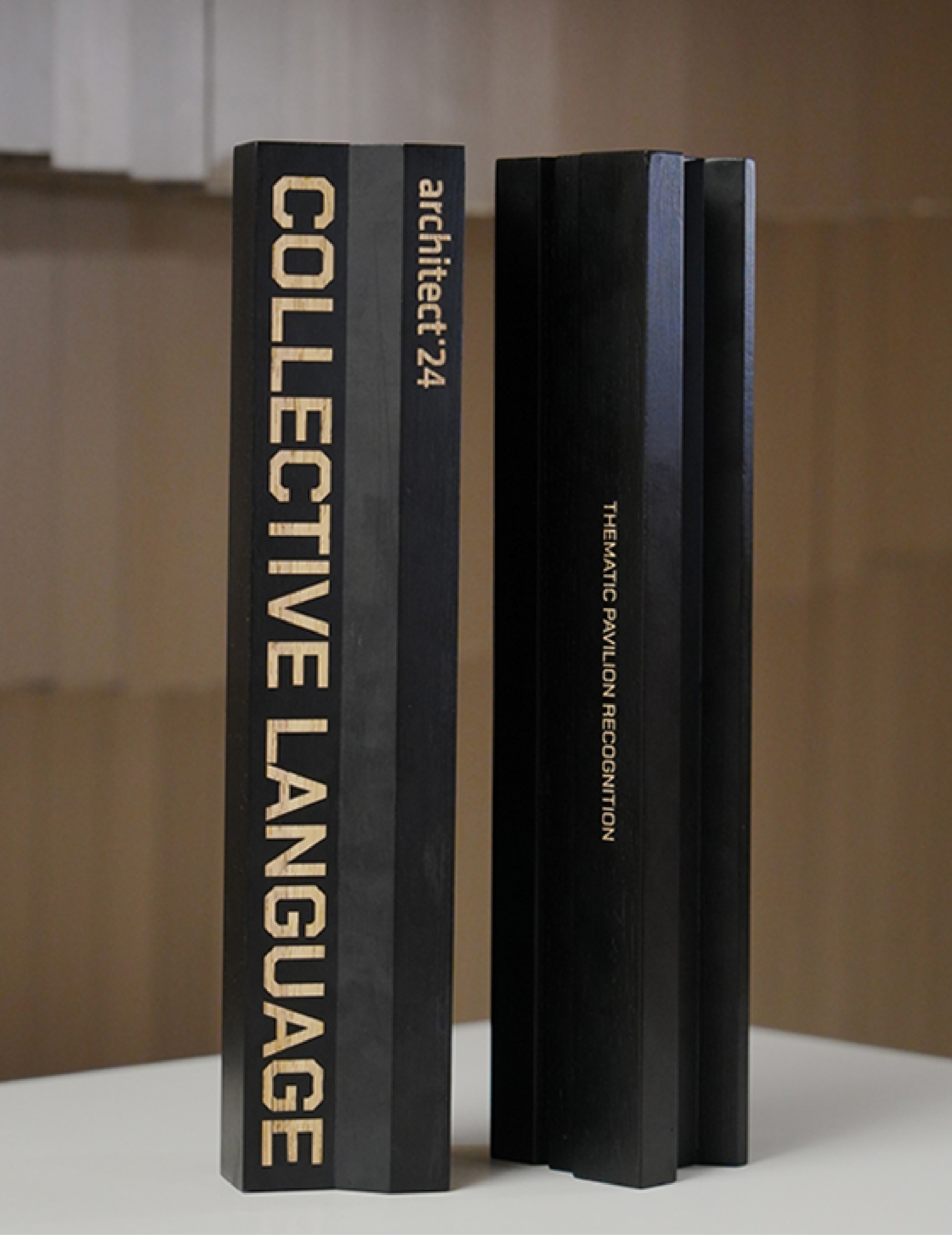 Thematic Pavilion of the Year Award